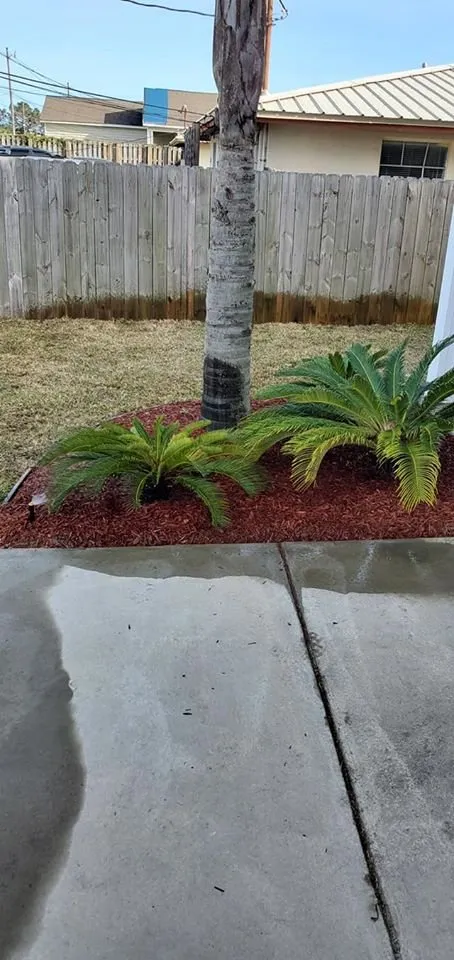Local outdoor landscaping in Panama City, FL - Service Irrigation Pros