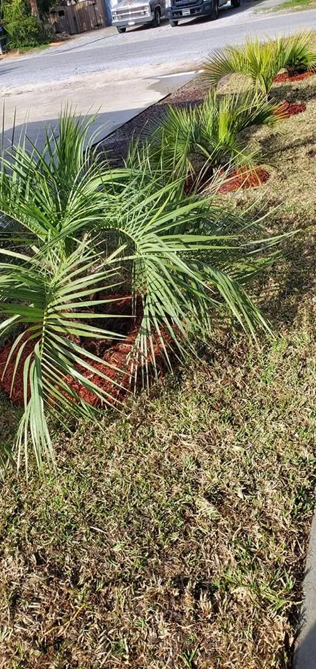 Top-rated garden landscaping in Panama City, FL - Service Irrigation Pros