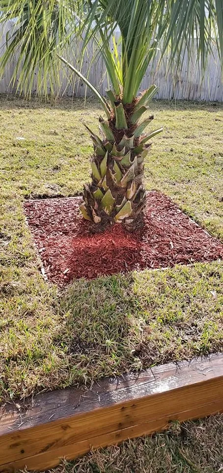 Top-rated landscape installation for year-round maintenance across Panama City, FL - Service Irrigation Pros