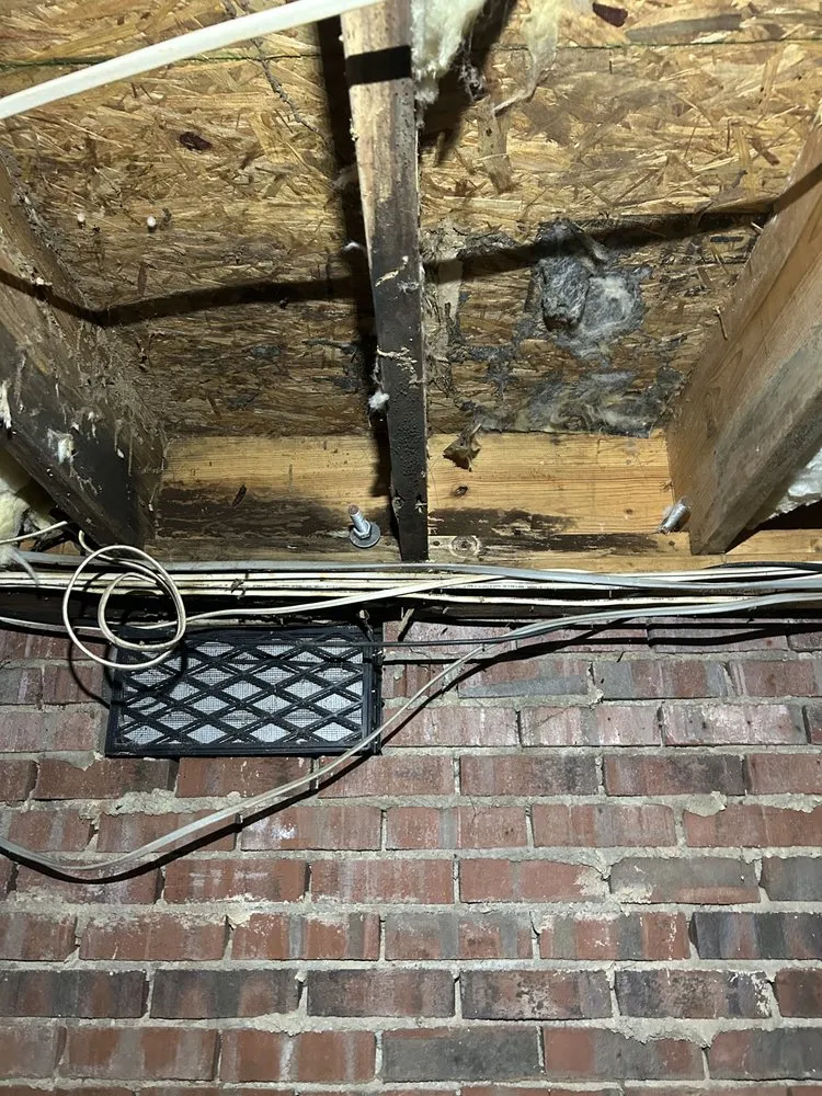 Reliable lawn mowing service in Maiden, NC - Service Junkie