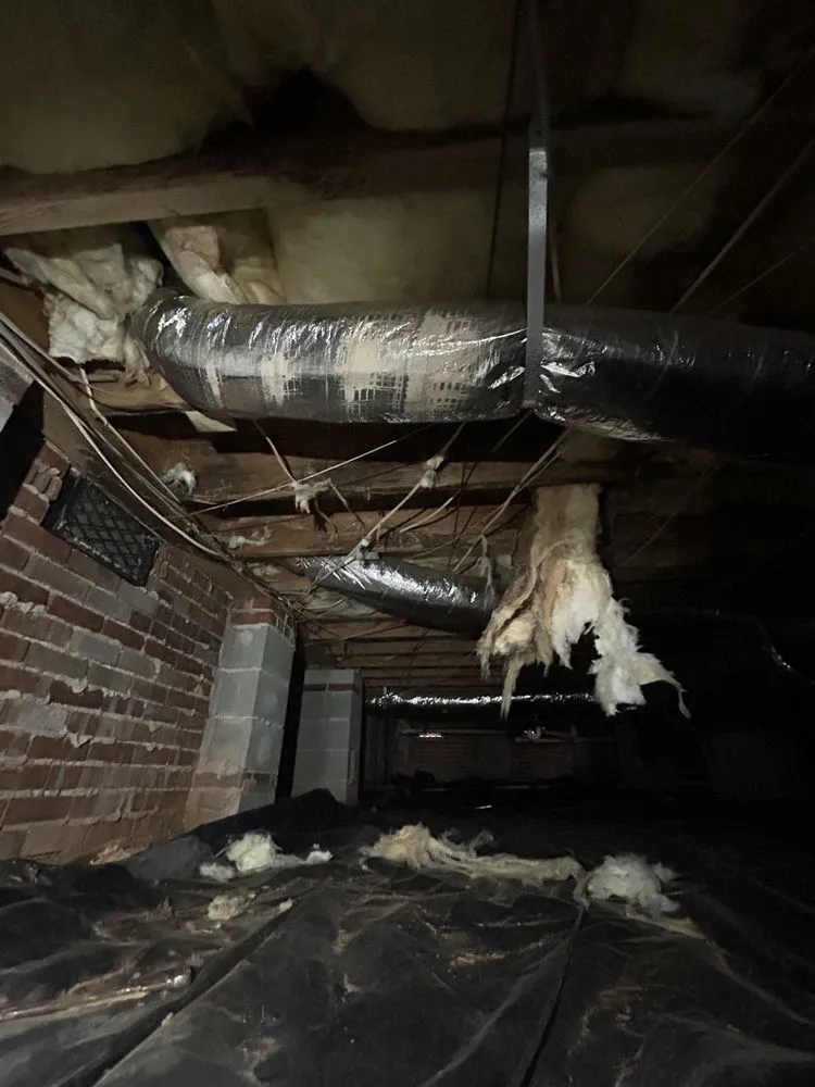 Professional landscape design for residential properties in Maiden, NC by Service Junkie