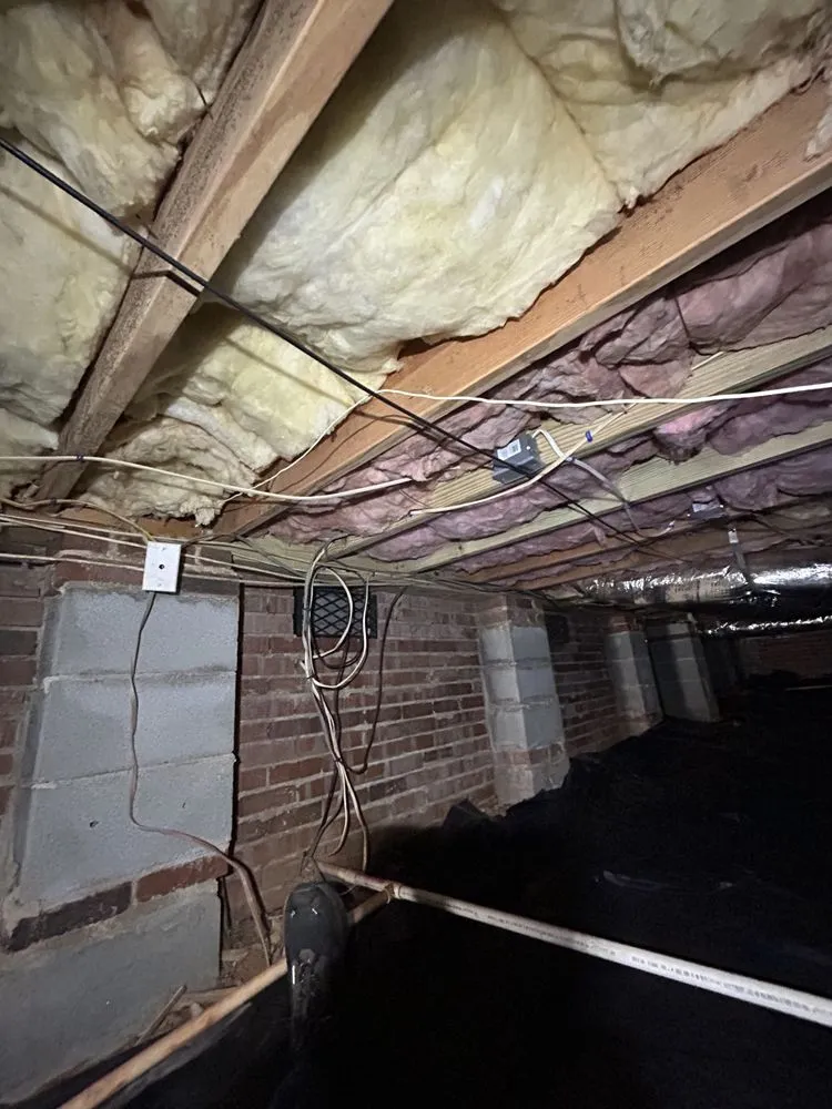 Trusted yard cleanup service for beautiful yards in Maiden, NC by Service Junkie