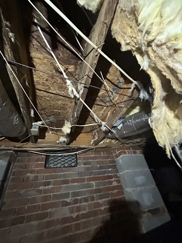 Professional landscaping services in Maiden, NC by Service Junkie