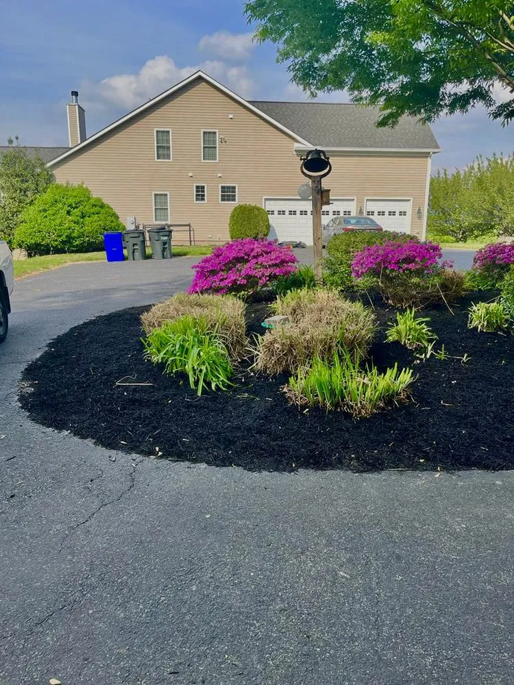 Professional outdoor landscaping for outdoor upgrades in Frederick, MD by Service Landscape & House Painting