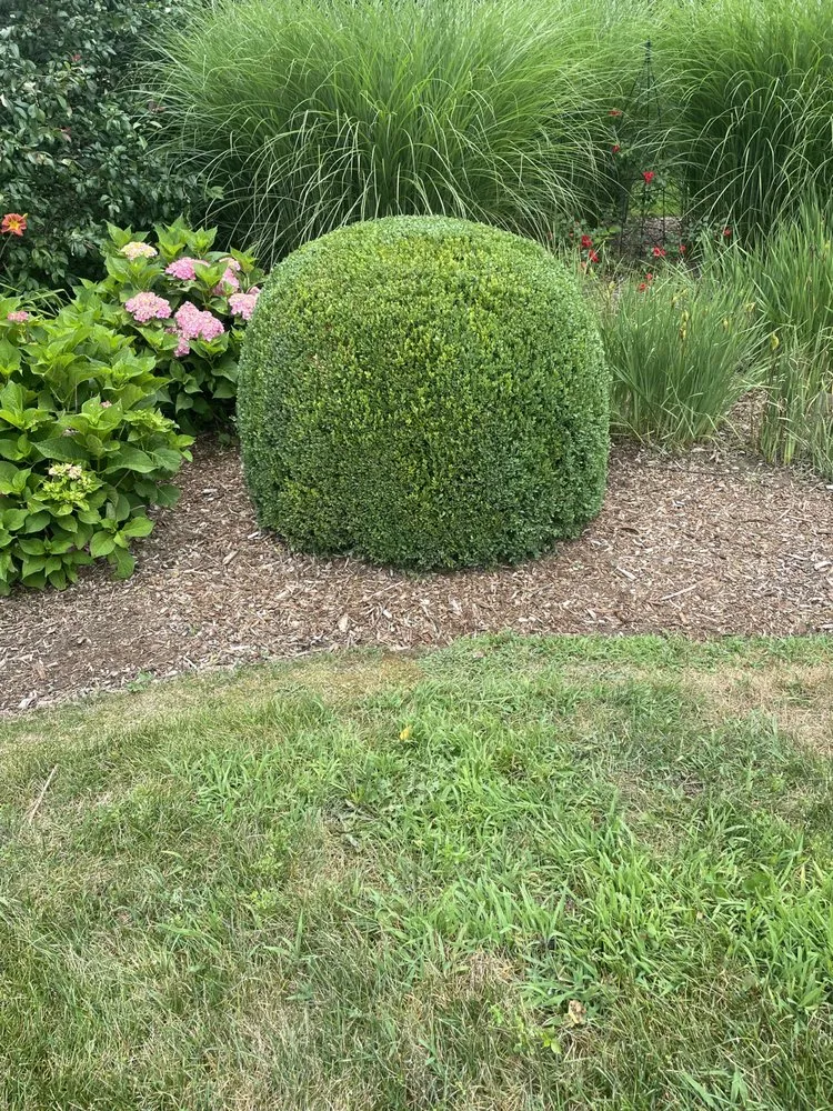 Reliable landscaping services in Berrien Center, MI - Service Landscaping