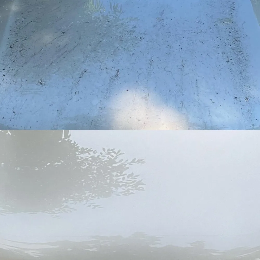 Affordable yard maintenance in Washington DC, DC by Service Nest