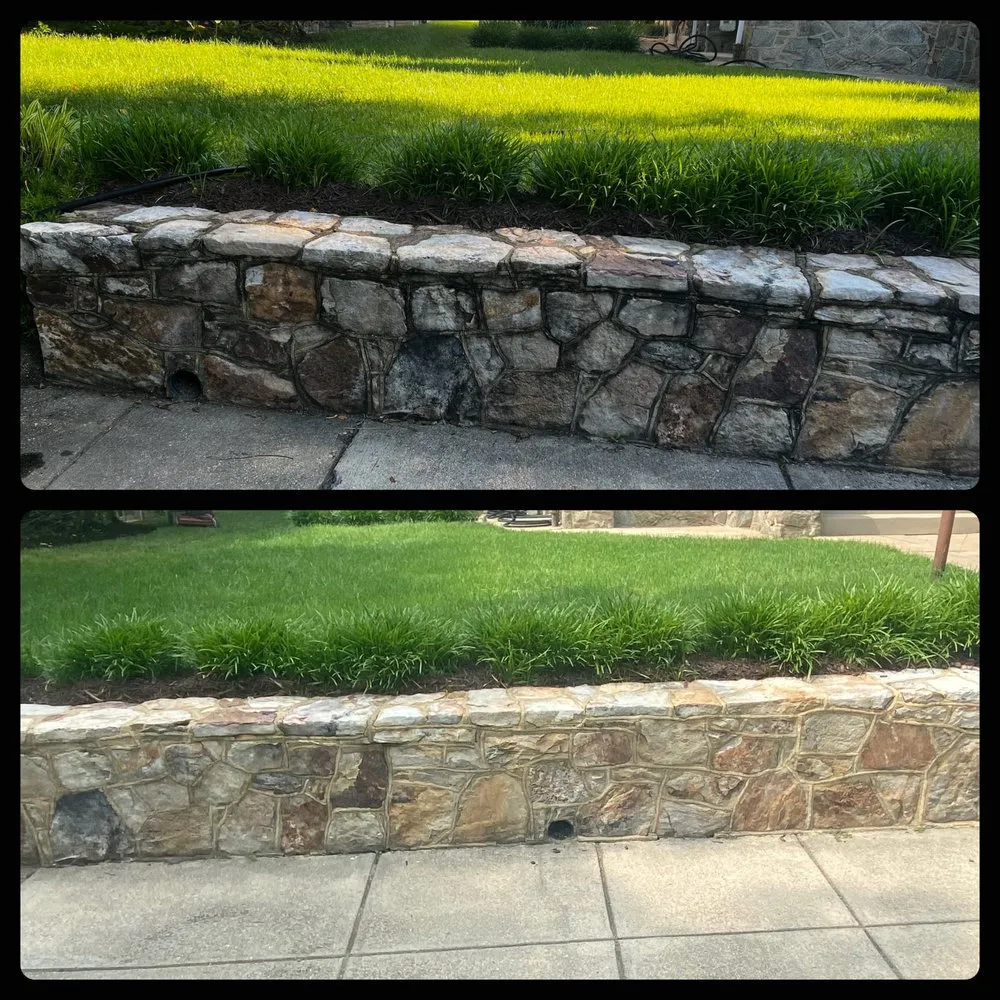 Top-rated outdoor landscaping for year-round maintenance in Washington DC, DC by Service Nest