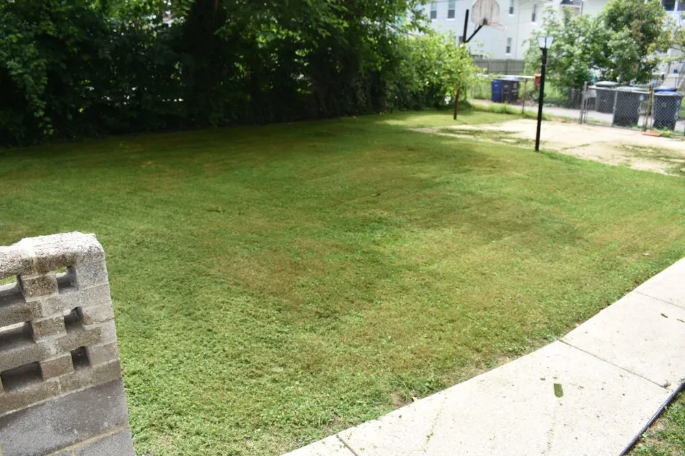 Affordable outdoor landscaping in Washington DC, DC - Service Nest