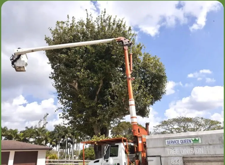 Top-rated landscape design in Fort Lauderdale, FL - Service Queen