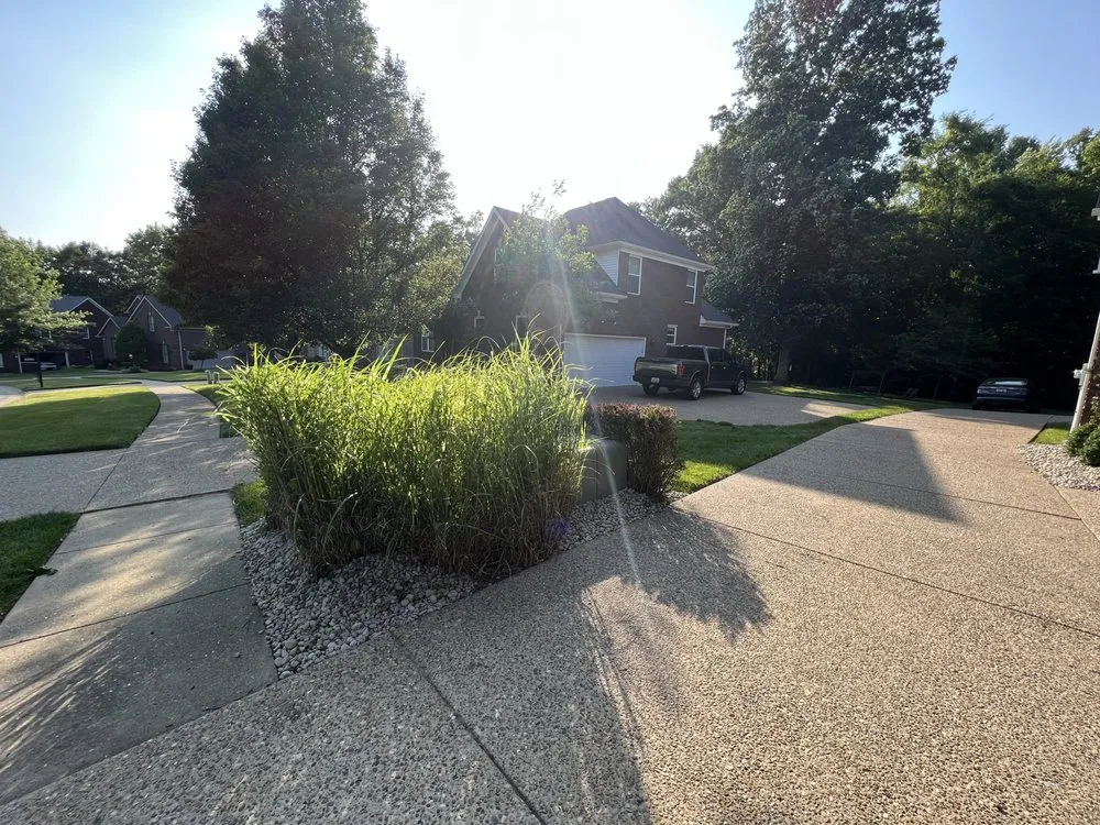 Affordable yard cleanup service near you in Louisville, KY by Service Scapes