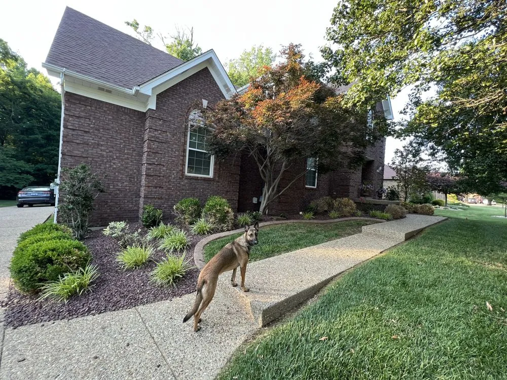 Local landscape installation near you in Louisville, KY by Service Scapes