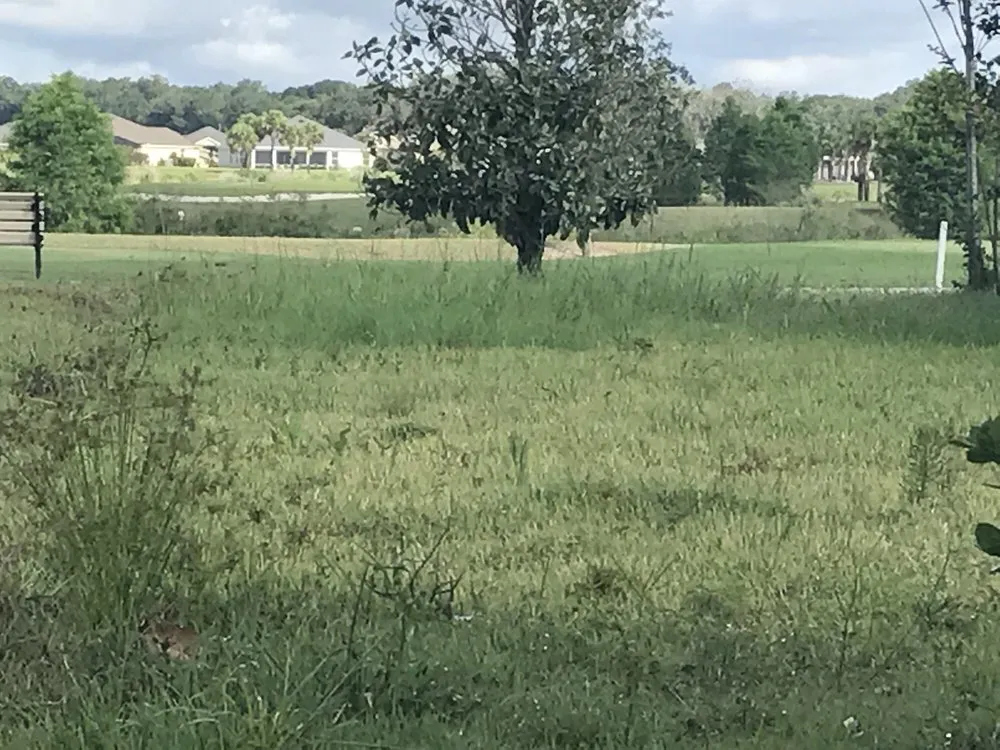 Expert landscape installation near you in Lady Lake, FL by Service Smart