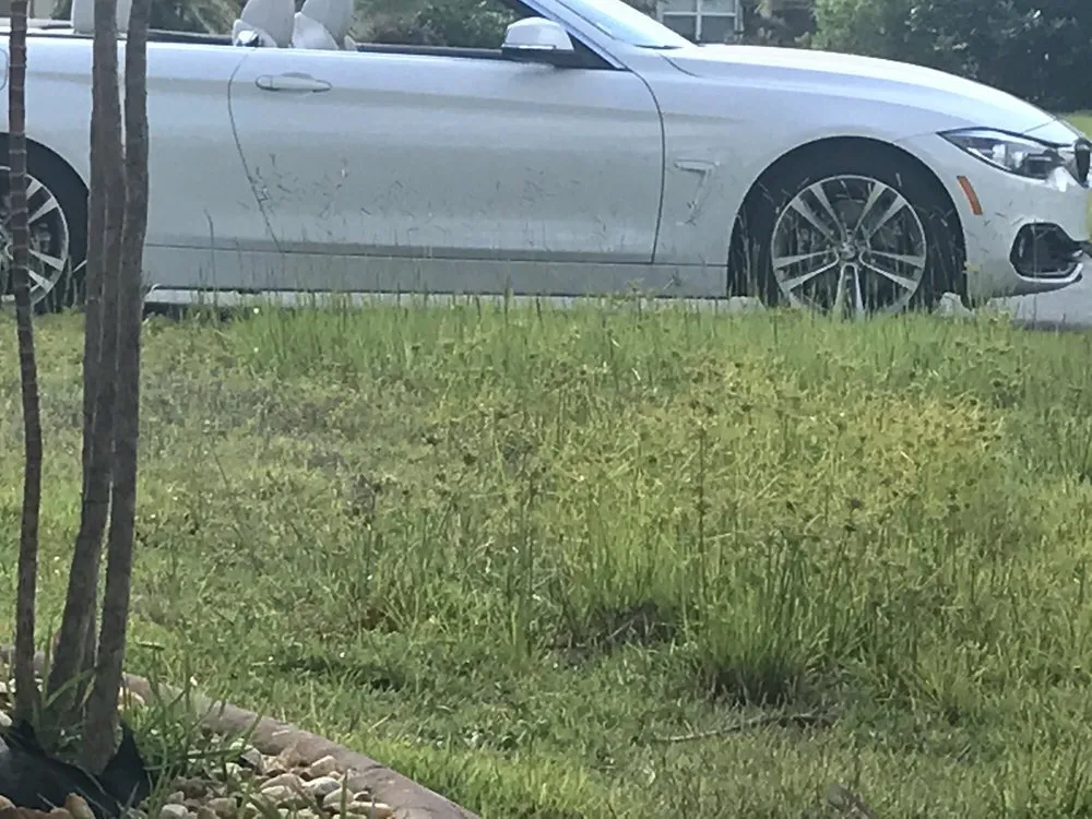 Professional yard maintenance experts serving Lady Lake, FL - Service Smart