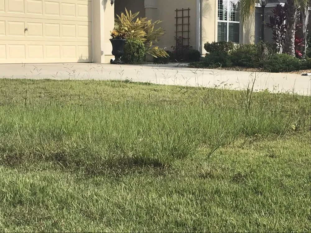 Trusted lawn care service in Lady Lake, FL - Service Smart