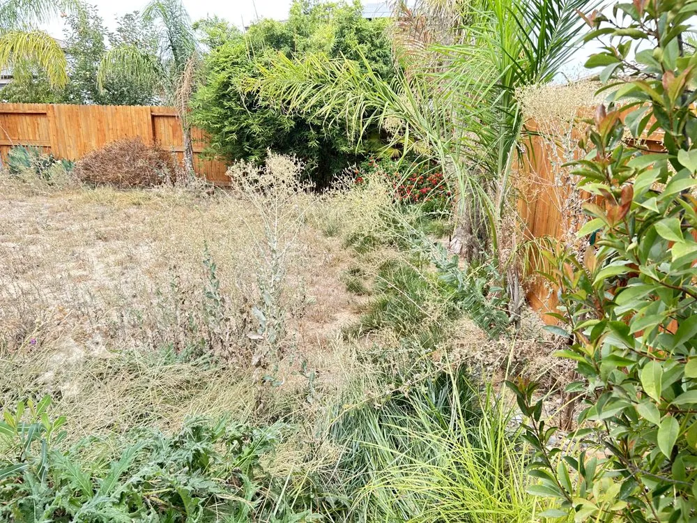 Top-rated outdoor landscaping experts serving Marysville, CA - Service Squad