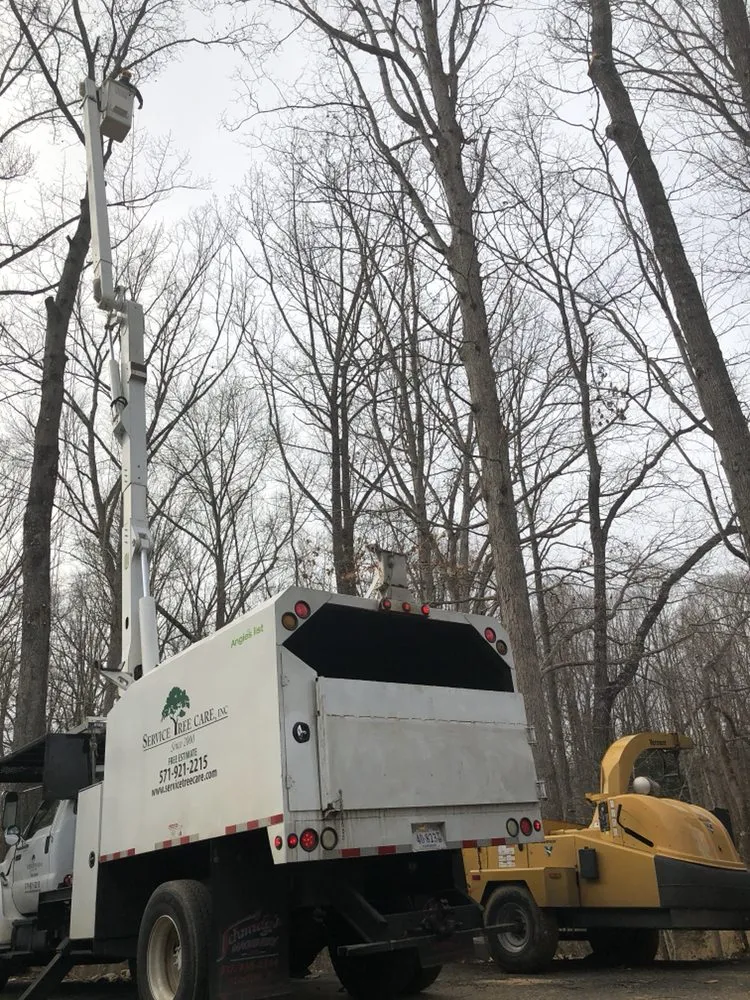 Affordable lawn care service in Bristow, VA - Service Tree Care