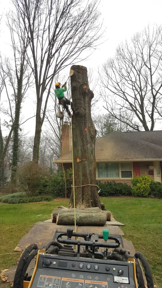 Local lawn mowing service for residential properties across Bristow, VA - Service Tree Care