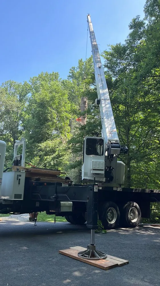 Trusted yard cleanup service for year-round maintenance across Bristow, VA - Service Tree Care