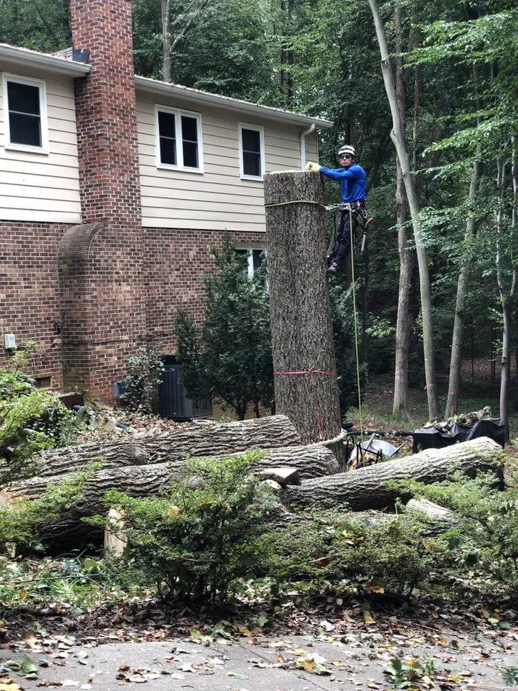 Affordable lawn mowing service in Bristow, VA by Service Tree Care