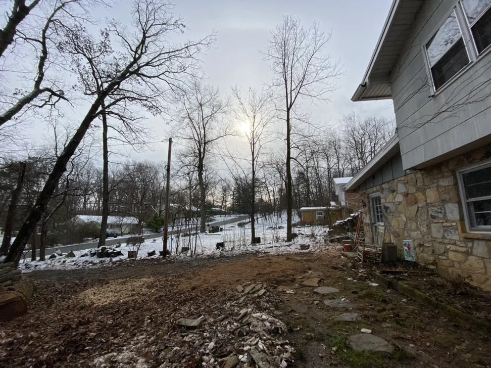 Affordable landscape design for year-round maintenance across Bristow, VA - Service Tree Care