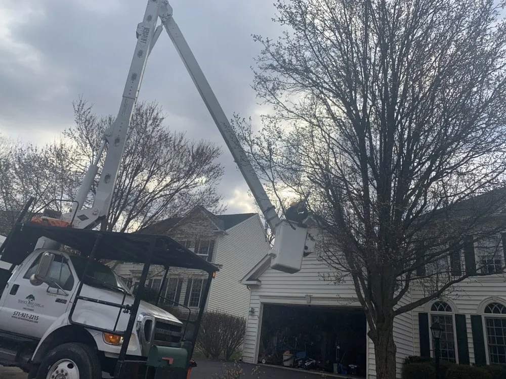 Custom landscape installation for homes across Bristow, VA - Service Tree Care