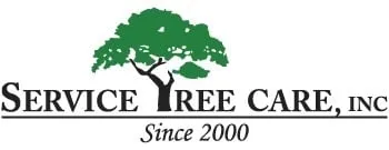 Custom outdoor landscaping experts serving Bristow, VA - Service Tree Care