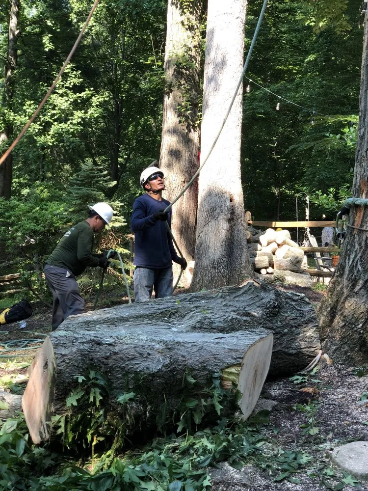 Custom lawn care service for outdoor upgrades in Bristow, VA by Service Tree Care