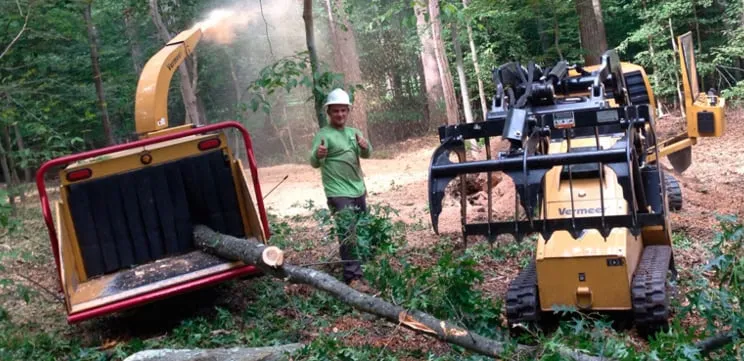 Reliable outdoor landscaping for homes across Bristow, VA - Service Tree Care