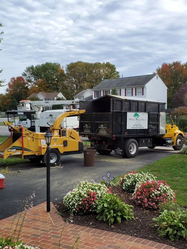 Top-rated garden landscaping experts serving Bristow, VA - Service Tree Care