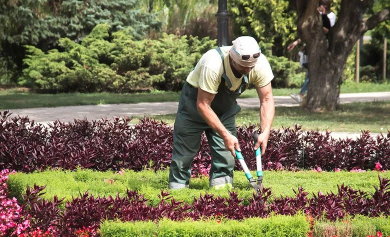 Affordable residential landscaping experts serving Saint Augustine, FL - ServiceTopia Home Services