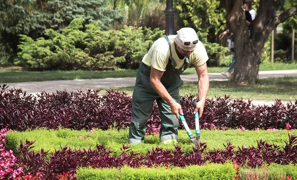 ServiceTopia Home Services Logo