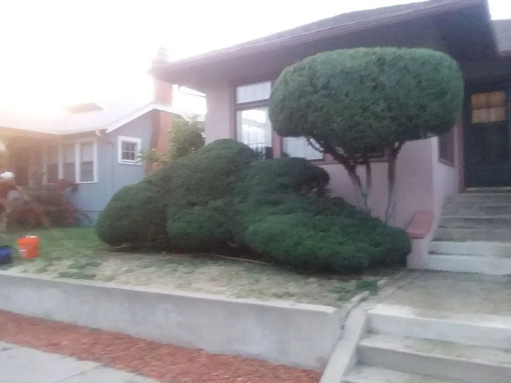 Expert lawn mowing service in Colorado Springs, CO by Serviceworks Unlimited