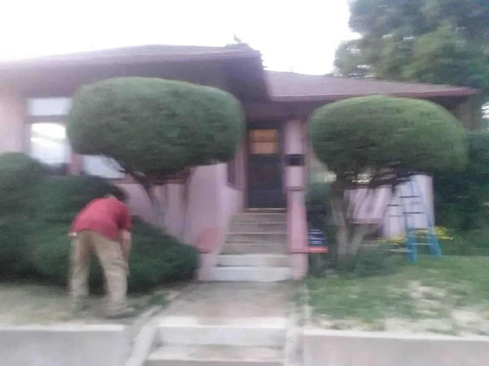 Top-rated landscape design experts serving Colorado Springs, CO - Serviceworks Unlimited