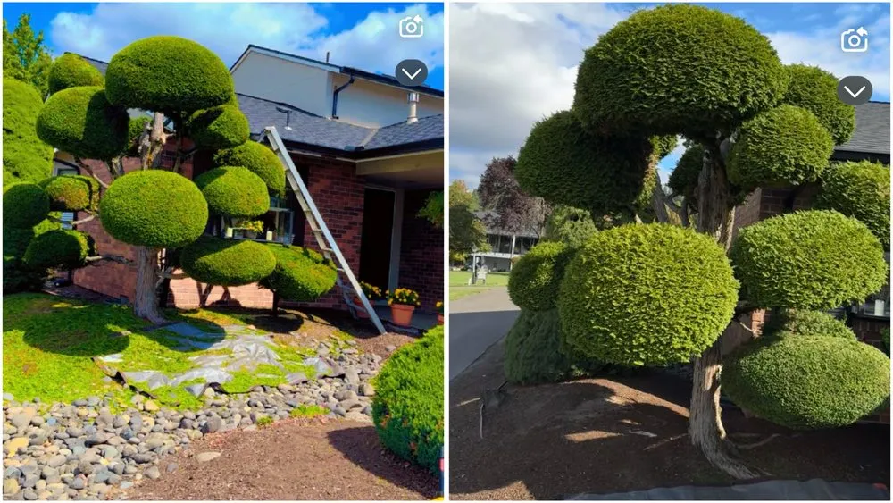 Affordable landscape installation for outdoor upgrades across Beaverton, OR - Servin Landscaping