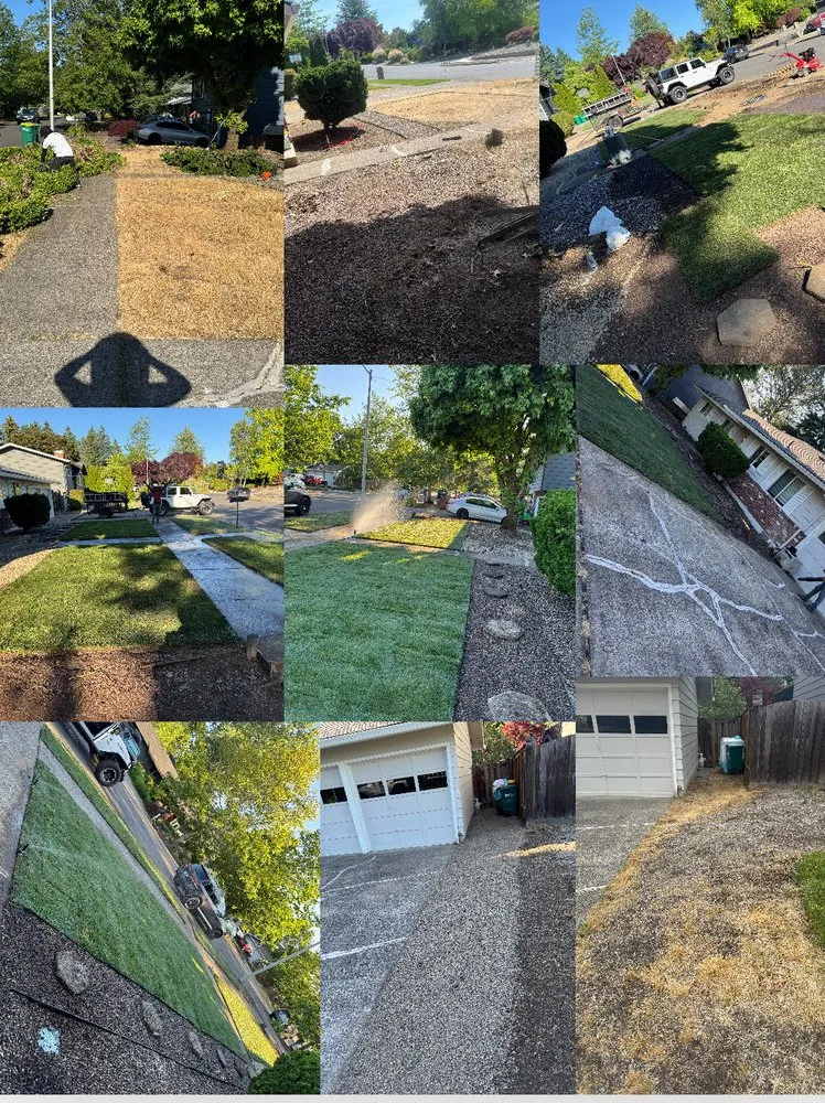 Expert yard maintenance for year-round maintenance in Beaverton, OR by Servin Landscaping