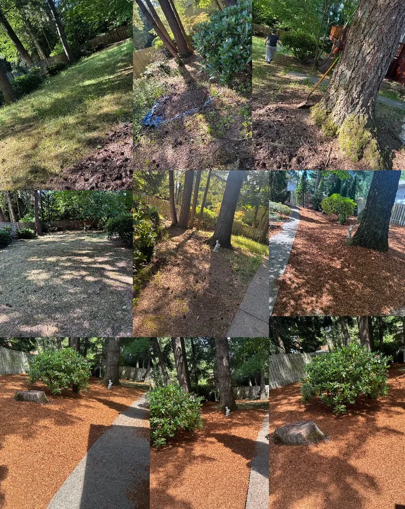 Reliable landscaping services experts serving Beaverton, OR - Servin Landscaping