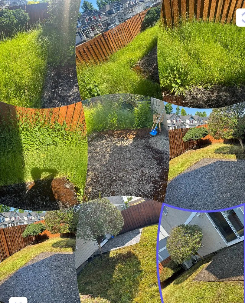 Affordable landscape design in Beaverton, OR - Servin Landscaping