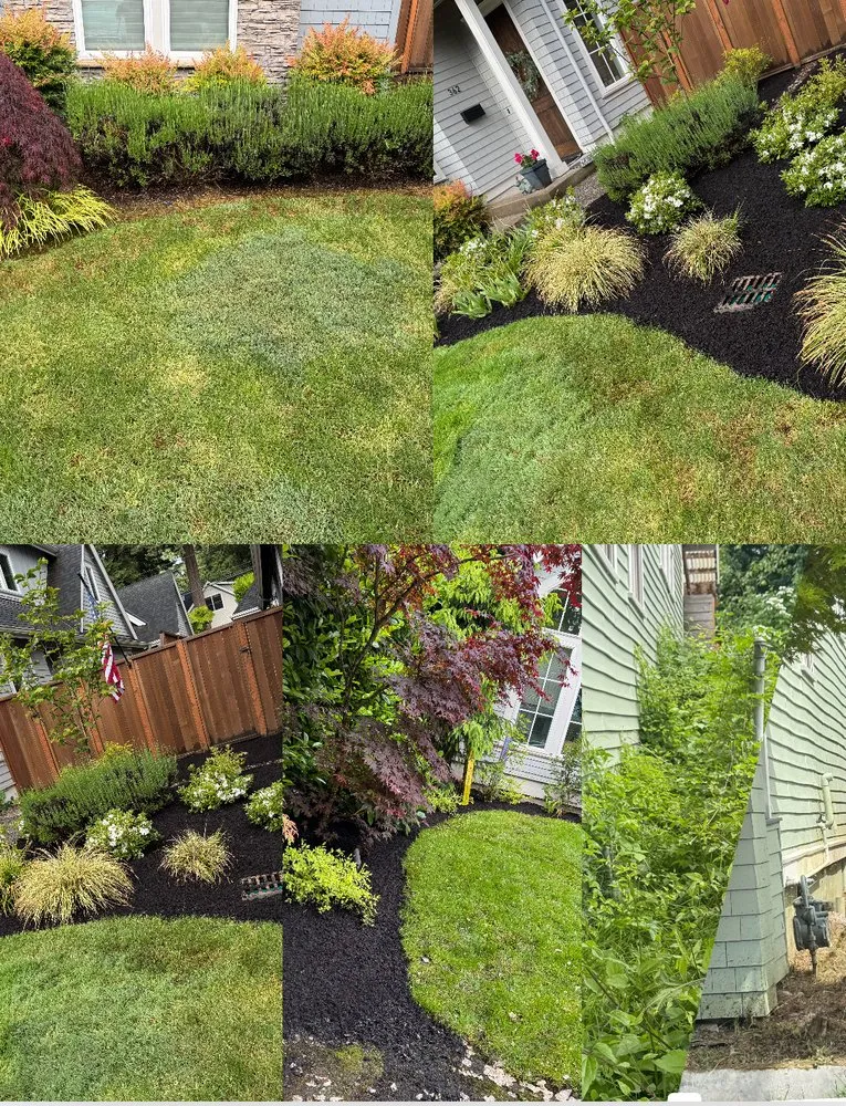 Professional landscape design in Beaverton, OR by Servin Landscaping