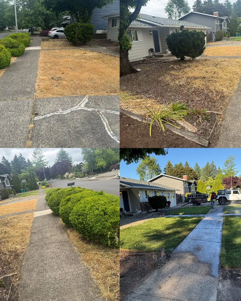 Expert lawn care service with custom design across Beaverton, OR - Servin Landscaping