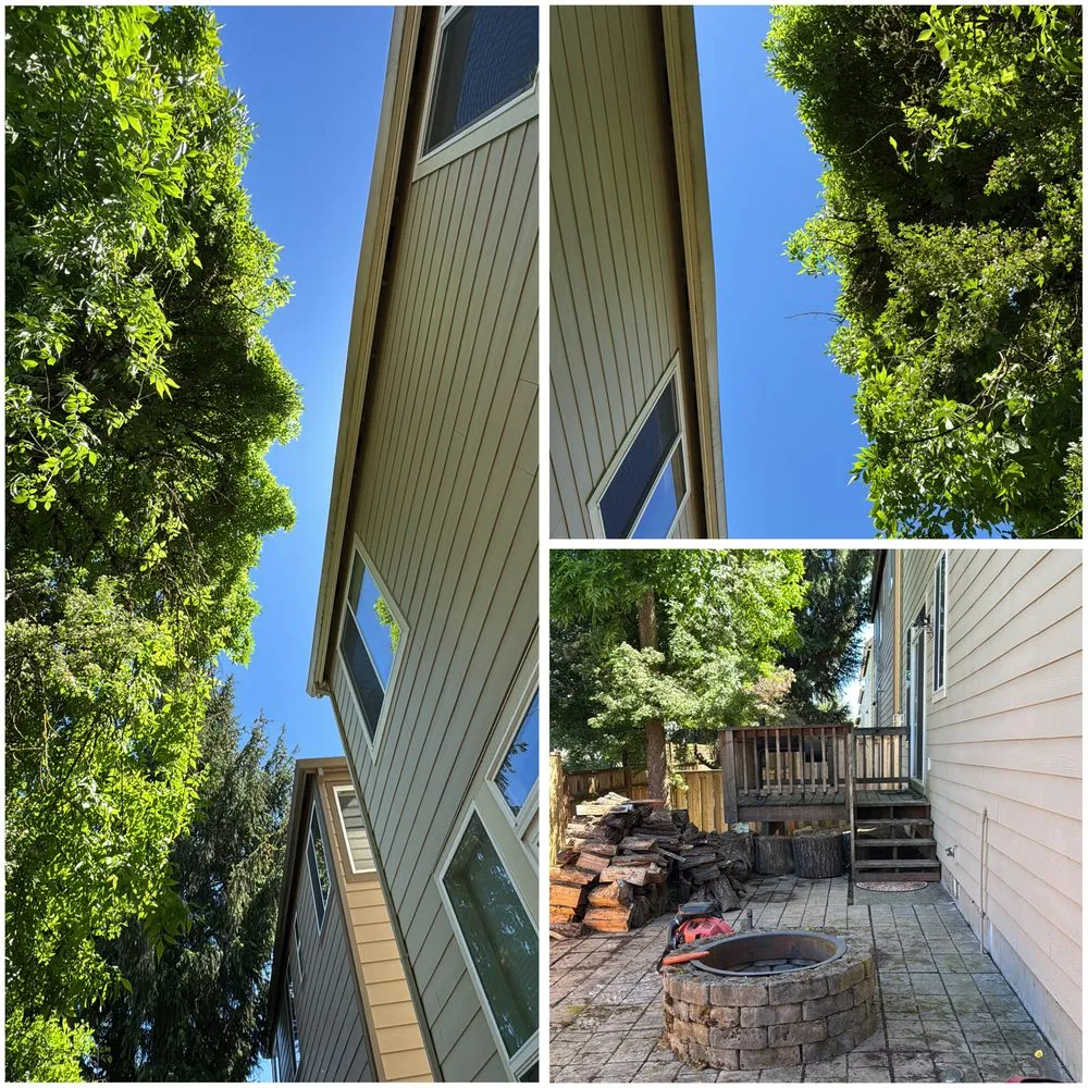 Professional landscape installation experts serving Beaverton, OR - Servin Landscaping