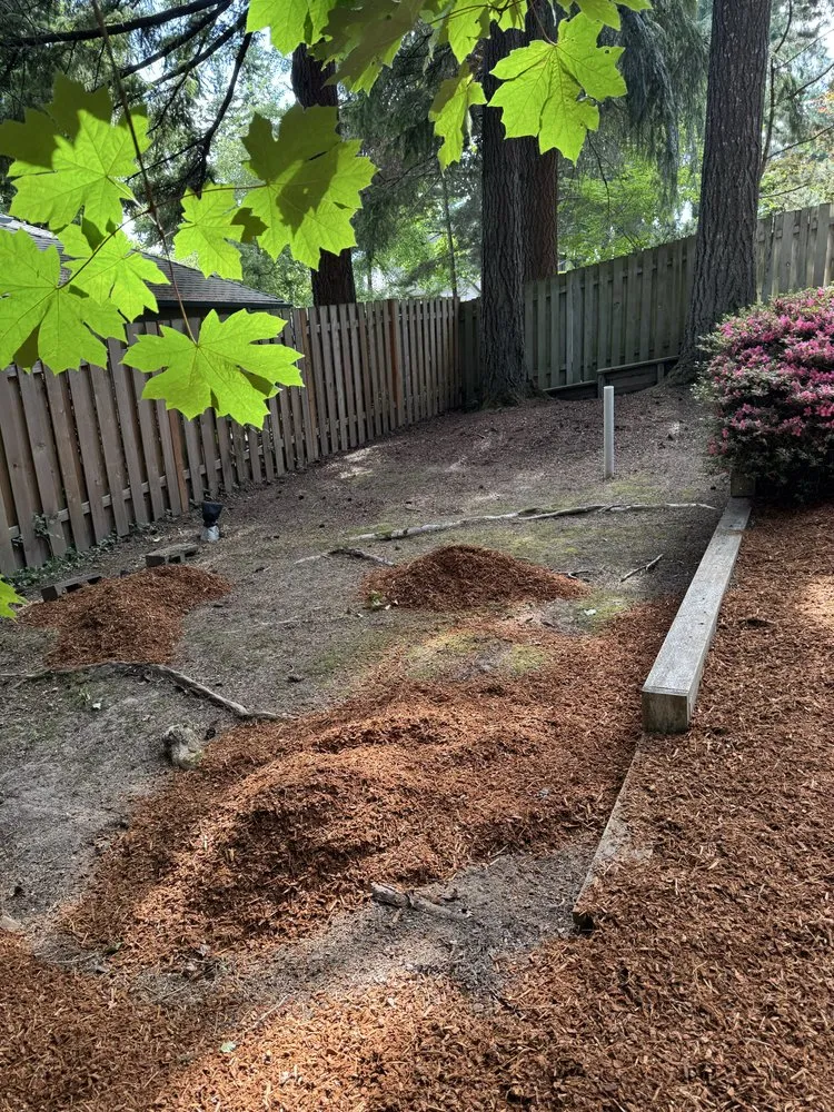 Top-rated outdoor landscaping for homes in Beaverton, OR by Servin Landscaping