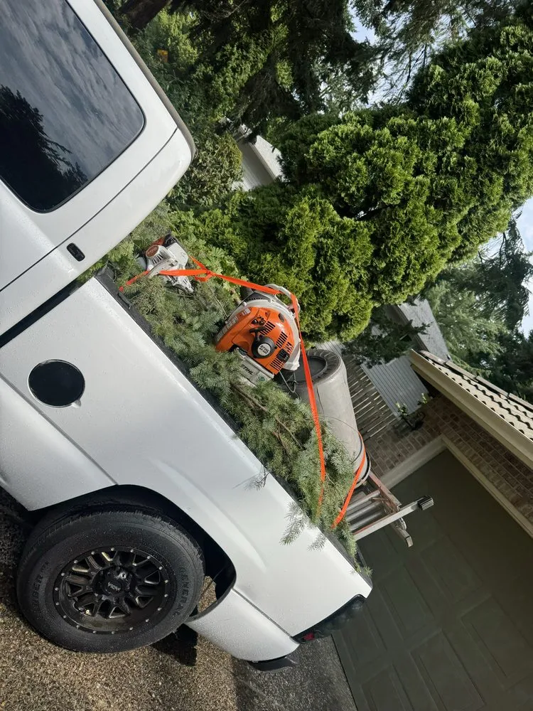 Trusted yard maintenance in Beaverton, OR by Servin Landscaping