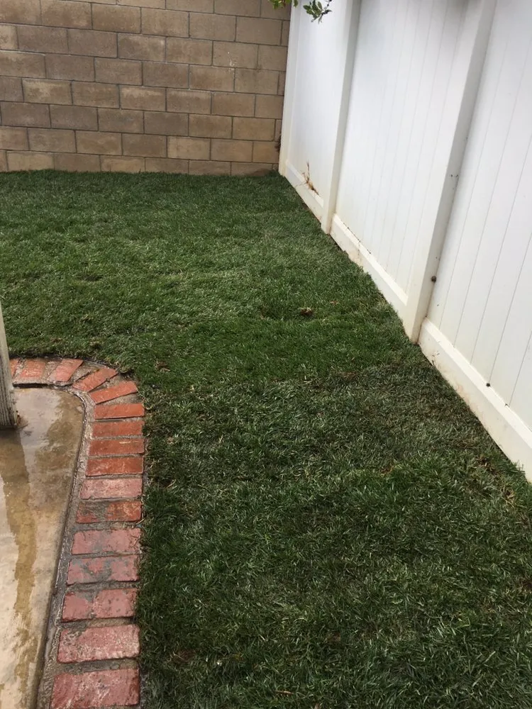 Local residential landscaping in Jurupa Valley, CA by Servin Landscaping