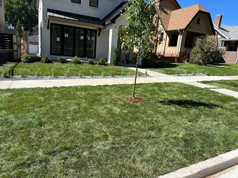 Custom landscape installation for homes in Lakewood, CO by Servin Landscaping