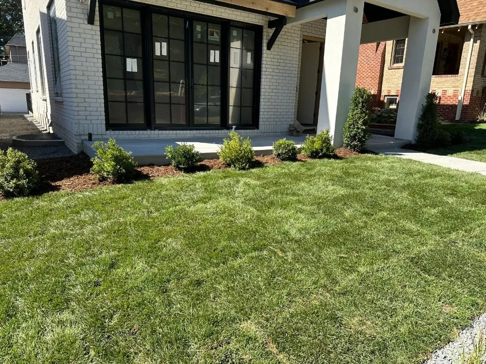 Custom landscape installation for year-round maintenance across Lakewood, CO - Servin Landscaping