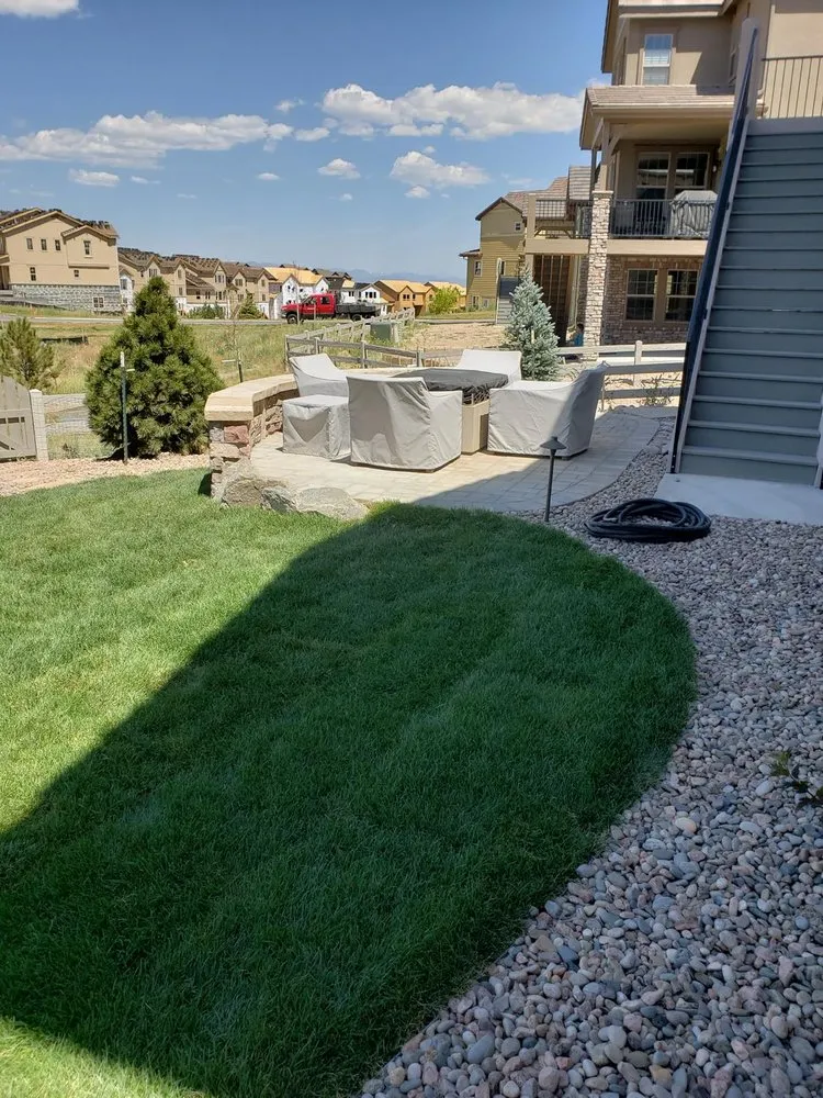 Expert yard cleanup service for year-round maintenance across Lakewood, CO - Servin Landscaping