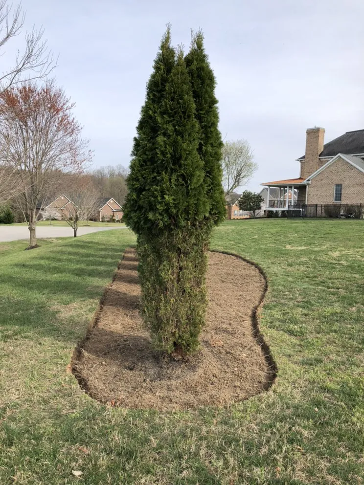 Local yard cleanup service for outdoor upgrades across Lanham, MD - Servi­n Landscaping
