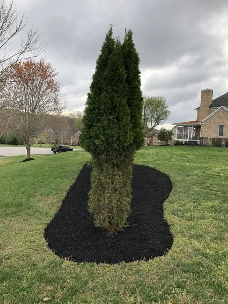 Affordable landscape installation experts serving Lanham, MD - Servi­n Landscaping