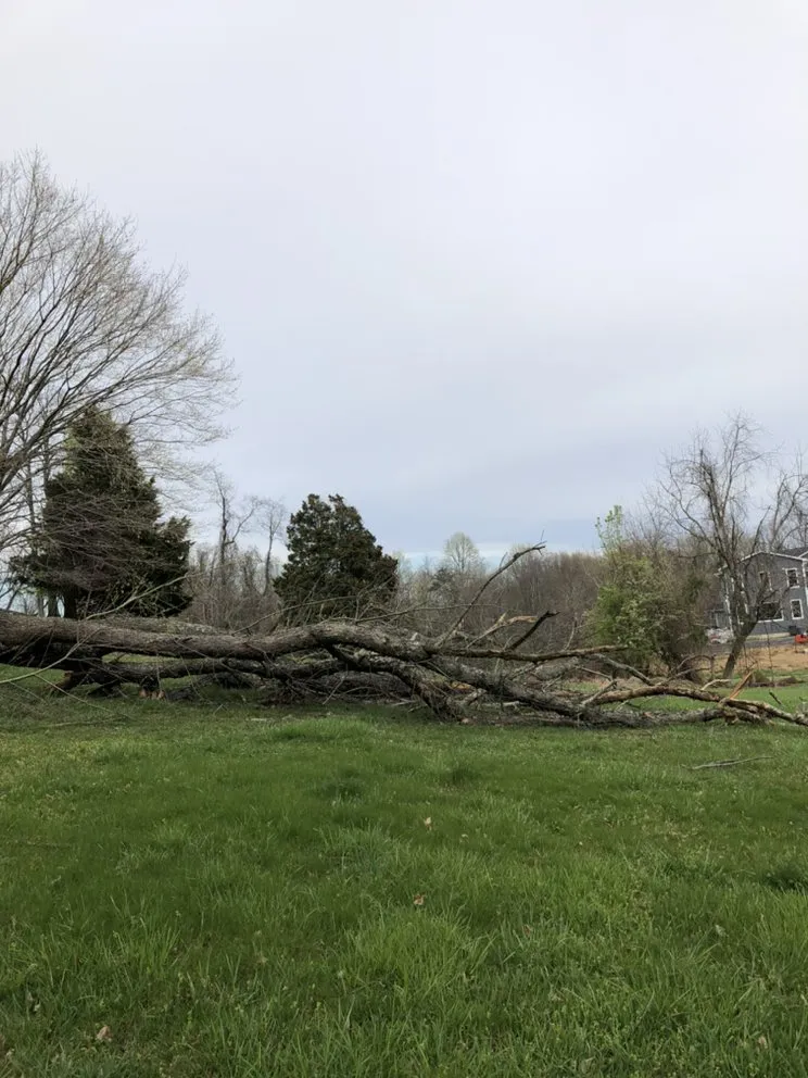 Expert landscaping services for homes in Lanham, MD by Servi­n Landscaping