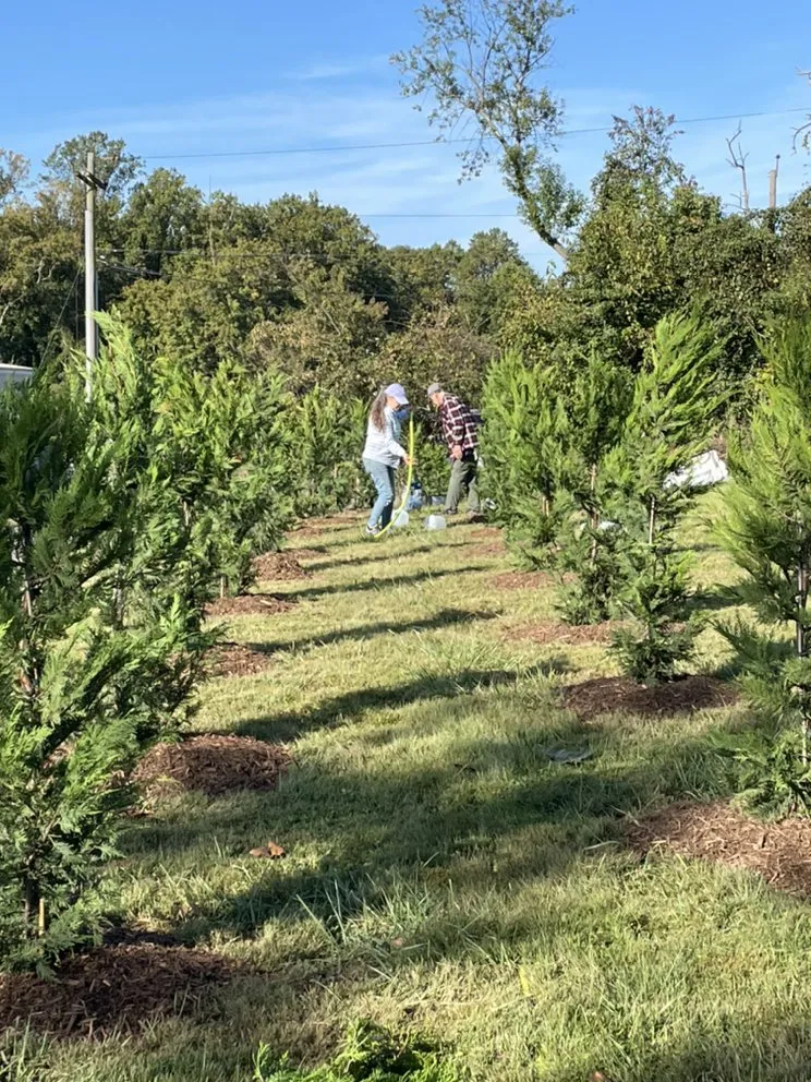 Trusted residential landscaping experts serving Lanham, MD - Servi­n Landscaping